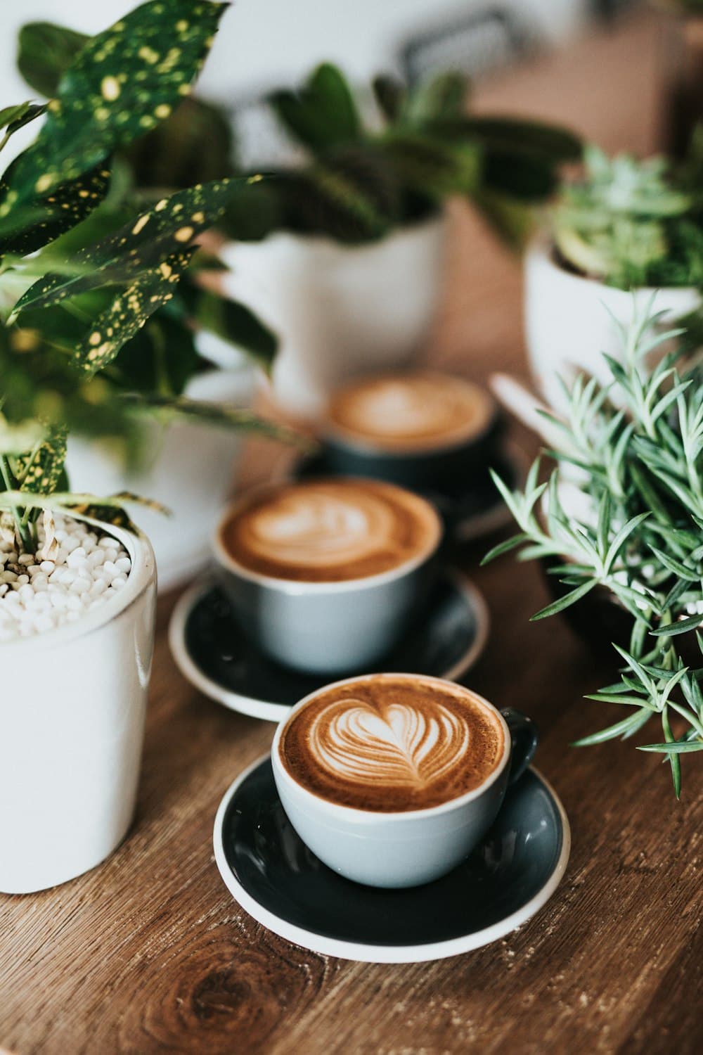 Senja Coffee Interior